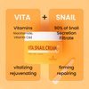 THE SKIN HOUSE Vita Snail Cream 50ml l 90% of natural snail mucine, 2% of Niacinamide, Vitamin C+ Vitamin E| Clean Beauty, Paraben Free, Cruelty Free (1.69 fl.oz)