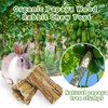 Hamiledyi Bunny Chew Toys for Teeth 2 Pcs Organic Papaya Wood Rabbit Chew Sticks Natural Chinchilla Toys Teeth Molar Treats for Hamster Guinea Pig Rat Gerbils and Other Small Animals