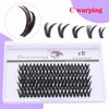 DSLONG Wet Look Lashes Individual Lashes Cluster 3D Spiky Thick Manga Lashes Water Wet Effect Fake Lashes DIY Lash Extension Lashes Reusable Curly Eye Lashes Pack (S06)