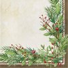 Creative Converting Winter Wreath Napkins, Ivory