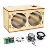 DIY Bluetooth Speaker Kit, Stem Projects for Kids Ages 8-12, Science Kits for Kids Age 12-14, STEM Kits for Kids Ages 10-12-14-16, Gifts for 9 10 11 12 13 14 15 16 Year Old Boys Teens (Wood)