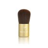 NUTRATANICALS Antioxidant Foundation Natural, 8 gm & Small Kabuki Brush