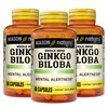 MASON NATURAL Ginkgo Biloba - Improve Mental Alertness, Supports Optimal Brain Function, Herbal Supplement, 60 Capsules (Pack of 3)