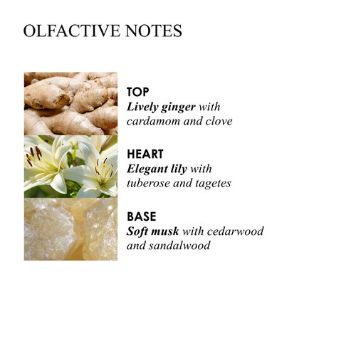 Molton Brown Gingerlily Hand Wash refill