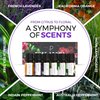 Essential Oils Set by Pure Aroma - Top 6 Aromatherapy Oils Gift Set-6 Pack, 10ml(Eucalyptus, Lavender, Lemongrass, Sweet Orange, Peppermint, Tea Tree)