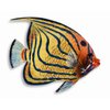 Handpainted L-A Tropical Fish Replica Wall Mount Decor Plaque 6" (Set Of 6)
