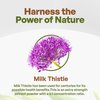 Go Nutra Milk Thistle Powder 1 lb. | Milk Thistle Extract 5:1 Strength Silymarin | Silybum Marianum Herbal Supplement Non-Gmo
