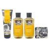 Bath & Body Works Afternoon Sunshine 3 Piece Bundle - Body Cream and 2 Shower Gels - with a Charcoal Scrub Bar Soap - Full Size