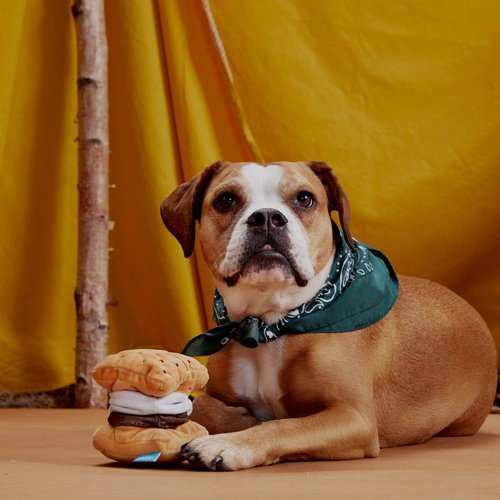 Bark Dog Toy More S'More