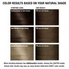 AGE beautiful Permanent Hair Color Dye Liqui Creme | 100% Gray Coverage | Anti-Aging Haircolor | Biotin for Thicker, Fuller Hair | Professional Salon Coloring | 7A Dark Ash Blonde