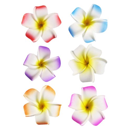 2.5" Hawaiian Hair Flower Clip Hair Barrettes for Women.Hair Buckle 4 Moana Luau Hawaiian Dresses for Women-6pc Hair Clips for Thin Hair,Hair Clips for Girls,Plumeria Hawaii Hair Accessories for Women