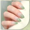 GAOY Jelly Gel Nail Polish, 16ml Sheer Green Translucent Soak Off Gel Polish, UV Light Cure for Nail Art DIY, 2135 Light Jade