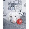 SPOT Play Strong Medium Ball 3.25” | Dog Toys For Aggressive Chewers | Indestructible Dog Toys | Bone | Chew Toys For Aggressive Dogs | Interactive Dog Toy | Dog Chew Toys For Aggressive Chewers