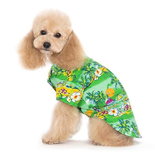 Dogo Tropical Island Dog Shirt - Green - Small
