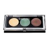 Eye Studio Color Gleam Cream Eyeshadow 05 FLASH OF FOREST 0.10 oz ~ Vibrant Earthy Tones for Luminous, Layerable Eye Looks