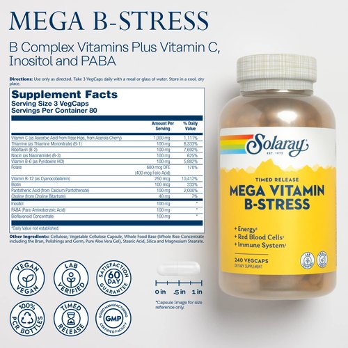 SOLARAY Mega Vitamin B-Stress, Timed-Release Vitamin B Complex with 1000 mg of Vitamin C for Stress, Energy, Red Blood Cell & Immune Support, Vegan, 60-Day Guarantee, (240 CT)