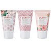 Cath Kidston Beauty Freston Cassis and Rose Hand Cream Trio Gift Box Travel Size, 3 x 30 ml