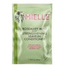 Mielle Rosemary Mint Blend Strengthening Leave-In Conditioner w/Biotin 1.75 Fl Oz (Pack of 3)