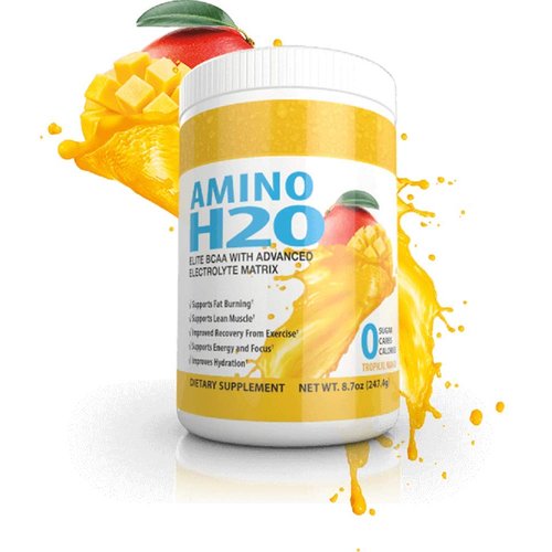 Amino H20 (BCAA Supplement | Natural Energy | Zero Caffeine | Zero Sugar | Zero Calories | Natural Recovery | Zero Glutan | Zero Carbs | Zero Animal Products)