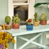 iLAND Miniature Dollhouse Accessories and Furniture, Dollhouse Table w/Succulent Dollhouse Plants 8pcs Fit Dollhouse & Fairy Garden