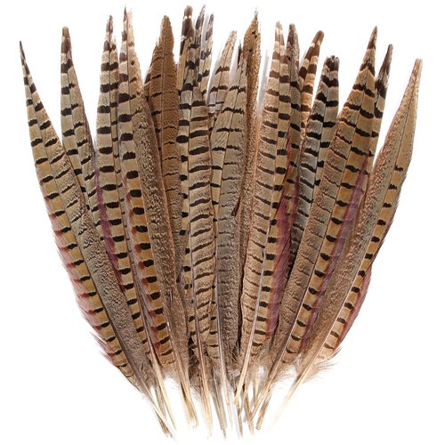 20pcs Male Pheasant Feather Natural Ringneck Tails Feathers 14-16inch 35-40cm for Crafts Home Wedding Party Performance DIY Decoration Pheasant Feather,Male Pheasant Feathers