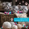 Amaxiu 1.2 in Colorful Cat Pom Pom Ball Toys, 20 Pcs Rainbow Cat Toy Balls Soft Plush Cat Ball Interactive Toy Training Ball Toy for Indoor Cats Kitten Exercising Playing
