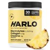 Harlo - Pineapple Salt Electrolyte Drink Mix with Bovine Collagen & Creatine - Creatine Monohydrate Powder - Energy Drink Powder - Pre Workout Powder - Sugar Free Energy Drinks Post Workout Recovery