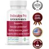MYBODYRX Endocalyx Pro Supplement – Endothelial Glycocalyx Support 120 Capsules - Vascular & Microcirculation Health – Clinically-Studied – Patented – Supports Nitric Oxide Functions