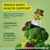MegaFood Balanced B Complex - B Complex Vitamin Supplement - 8 B Vitamins Including Vitamin B6, Vitamin B12, Folate, Biotin & More - Supports Cellular Energy Production - Vegan, Gluten Free - 30 Tabs