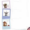 The Best Card Company - 10 Blank Dog Cards Assorted (4 x 5.12 Inch) - Adorable Boxed Animal Note Cards for All Occasions - Dogs & Doodles M6582OCB