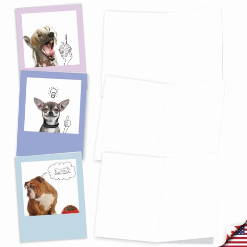 The Best Card Company - 10 Blank Dog Cards Assorted (4 x 5.12 Inch) - Adorable Boxed Animal Note Cards for All Occasions - Dogs & Doodles M6582OCB