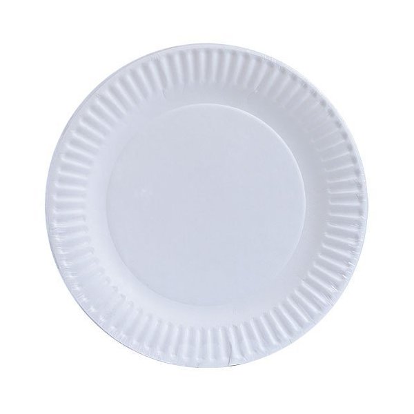 Nicole Home Collection Everyday Dinnerware Paper Plate, 9-Inch (100 count)