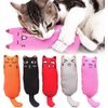 Legendog 5Pcs Bite Resistant Catnip Toy for Cats,Catnip Filled Cartoon Mice Cat Teething Chew Toy
