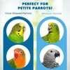 SunGrow Parrot Toy, 19" x 7.5", Colorful Wooden Beads and Metal Chain Link Hanger, Multicolored, 1 Pc per Pack