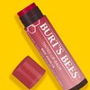 Burt's Bees Lip Tint Balm Stocking Stuffers, Christmas Gifts with Long Lasting 2 in 1 Duo Tinted Balm Formula, Color Infused with Deeply Hydrating Shea Butter for a Natural Looking Buildable Finish, Fiery Red Dahlia (2-Pack)