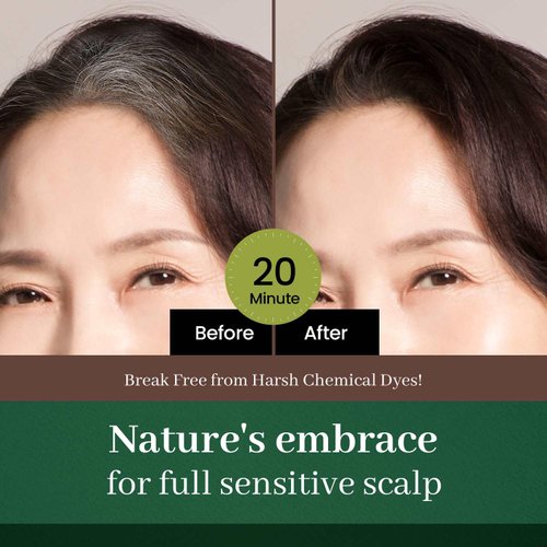 DONGSUNG Herb Speedy Color Cream (Dark Brown, 1 Pack) PPD Free, Ammonia Free, Vegan Hair Dye Contains Sun Protection Odorless No more Eye and/or Scalp Irritations From Coloring For Sensitive Scalp