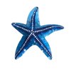 Funny Big Starfish Hair Clip,Acetate Hair Clip,Big Claw Clip for Women,Blue, 1 Count (Pack of 1)