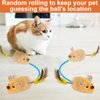 Remote Control Mouse Toy,2024 New Remote Control Cat Toys Mice Electronic Moving Toy,Interactive Cat Toy Mouse Moving Cat Toys for Indoor Cats