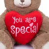 My OLi Valentine's Day Gift for Her 7” Plush Teddy Bear Stuffed Animal Plush Bear with Red Heart Plush Toys Valentines Bear for Babies Girlfriend Wife Mom, Brown