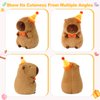 Ditucu Cute Capybara Plush with Happy Birthday Hat Bow Soft Capibara Stuffed Animals Plushies Toys for Birthday Gifts Party Decoration for Kids Brown 9 inch