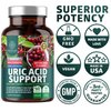 N1N Premium Uric Acid Support Supplement [14X Potent Herbs] All Natural Kidney and Uric Acid Cleanse with Tart Cherry, Milk Thistle, Cranberry, Celery, Chanca Piedra, 60 Veg Caps