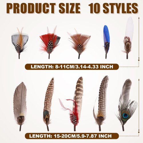 10pcs Hat Feathers, 10 Styles Craft Feathers for Hats Peacock Feathers Colorful Assorted Feathers for Fedora Cowboy Hat Feathers Accessories for Fedora Hats Craft Western Cowboy Oktoberfest Hat
