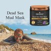 First Botany, 100% Natural Mineral-Infused Dead Sea Mud Mask 8.8oz Stem Cells Facial Treatment Skin Cleanser Pore Reducer Anti Aging Acne Treatment Blackhead Remover Cellulite & Natural Moisturizer