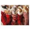 Avanti Press Christmas Cards, Stocking Full of Kittens, 50 Count Value Pack (32568)