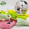 uyiixoxo Cat Toy Matatabi Silvervine Sticks Cat Toys for Indoor Cats, Cat & Kitten Chew Toys for Aggressive Chewers, Cat Dental Toy for Kitten Teeth Cleaning, Crinkle Sound Catnip Toys