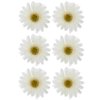 Beaupretty 12pcs Sunflower Hair Clips Daisy Flower Barrette Hawaiian Beach Alligator Hair Clips Headpiece Hairpin Brooches for Women Girls Summer Hair Accessories White