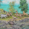 BRETOYIN 11PCS Mini Desert Animals Figurines Set Desert Realistic Desert Animals Figurines Toys Party Decorations Tabletop Decorations for Kids
