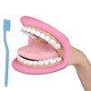 Ultrassist Mouth Hand Puppet Medium Size with Tongue for Kids, Mouth Puppet for Speech Therapy, Include Toothbrush