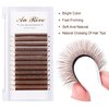Y Lashes Extensions Colored YY Lashes Premade Fans Brown Eyelash Extensions D Curl 0.07mm 8-15mm Mixed Tray Y Shape Easy Fan Volume Lashes Supplies (YY-0.07-D,Brown)