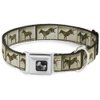 Dog Collar Seatbelt Buckle Bucking Donkey Vintage Film Strip 9 to 15 Inches 1.0 Inch Wide